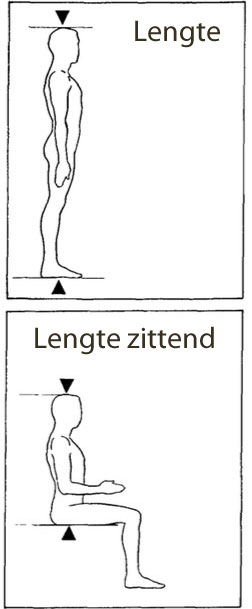 Lengte, staand en zittend